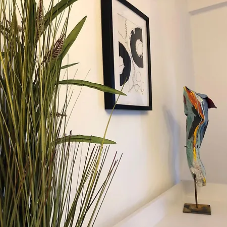 Nest Daire Winterberg