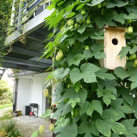 Apartmán Nest