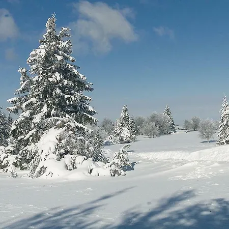 Daire Nest Winterberg