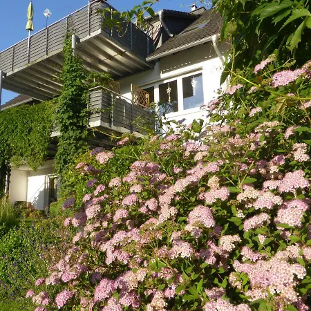 Nest Apartmán *