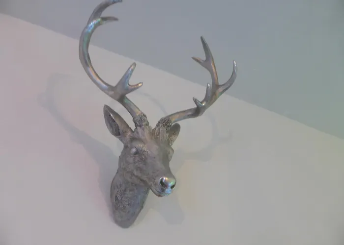 Nest Apartman Winterberg