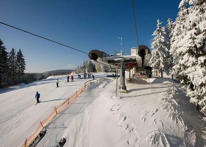 Nest Apartmán Winterberg