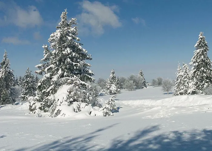 アパート Nest ヴィンターベルク